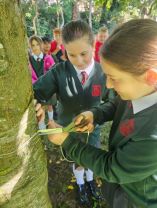 Miss Cochrane and Miss Gribben Maths investigation Dromore Park