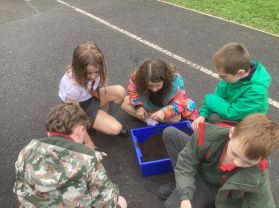 Y5 Weeks- Digging Up the Past.