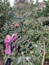 Outdoor Play Based Learning in Mrs Callaghan’s Class