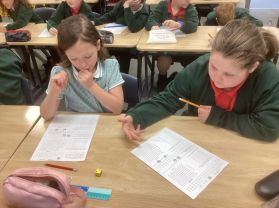 Y5 Data Handling: Tally Charts and Bar Graphs