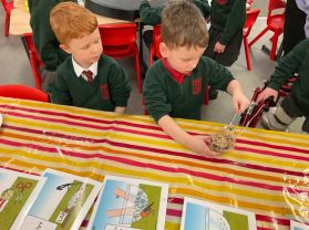 Making Bird Seed Cake in Mrs Callaghan’s Class
