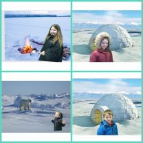 Bear topic Year 2 - Mrs Peoples